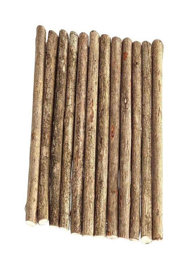 SS Organic® Natural Wooden Domed shelter for Hamster Mouse Rat Rodents Toy Small Animal Chew Toy Small Animals - Accessories, Toys, and Supplies - Image 5